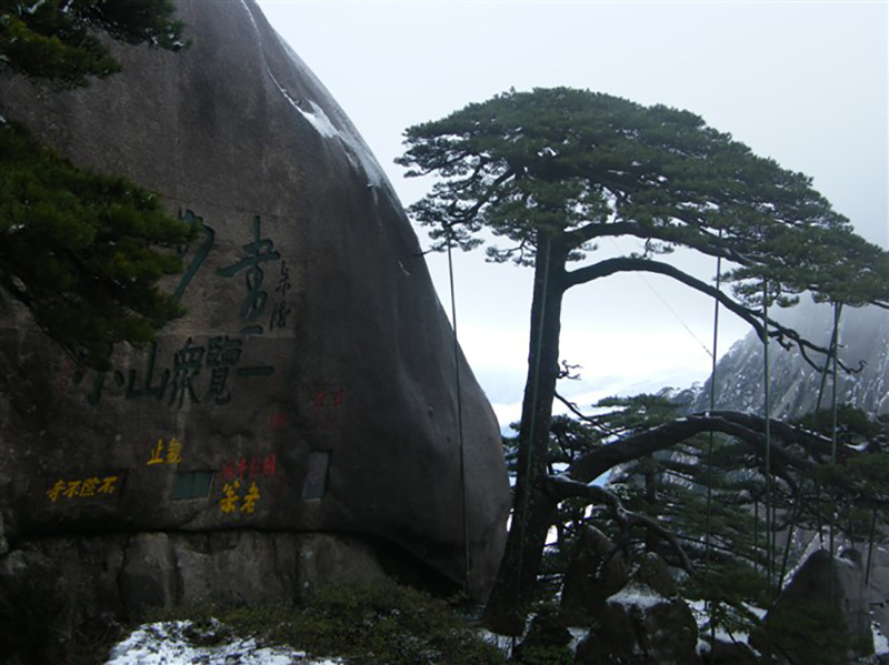 2009年3月份集团工会组织全体员工外出旅游活动8.jpg